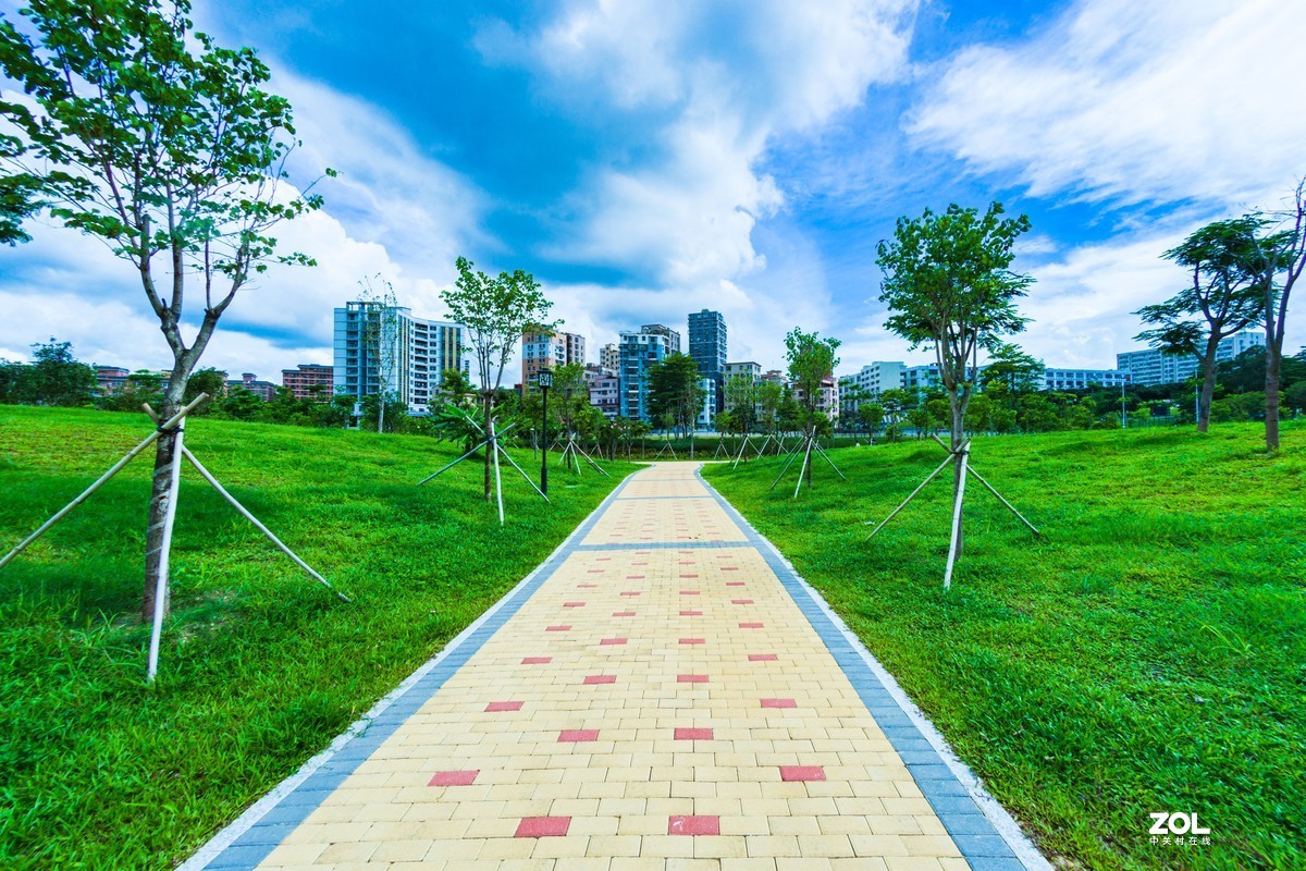 石岩湿地公园---曲径小路