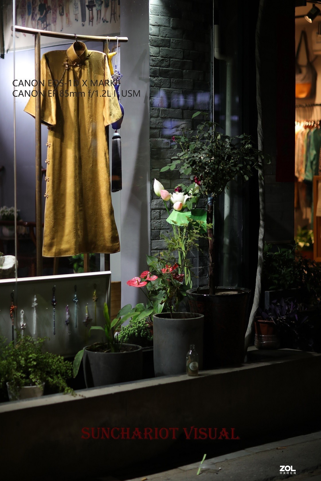 莱卡“光之子”、佳能“大眼睛”夜拍记