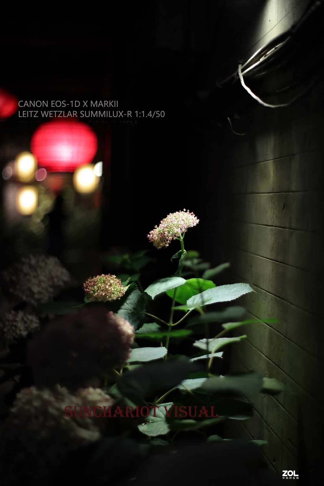 莱卡“光之子”、佳能“大眼睛”夜拍记