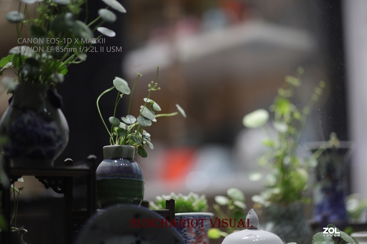 莱卡“光之子”、佳能“大眼睛”夜拍记