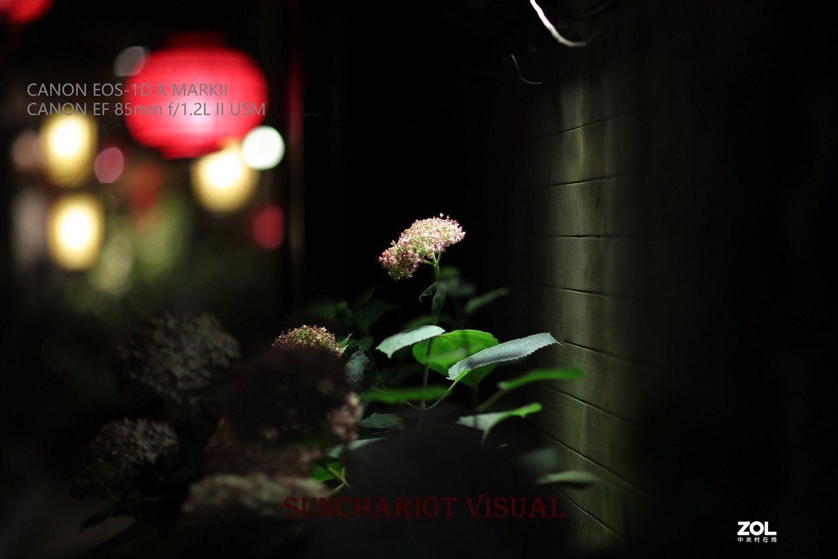 莱卡“光之子”、佳能“大眼睛”夜拍记