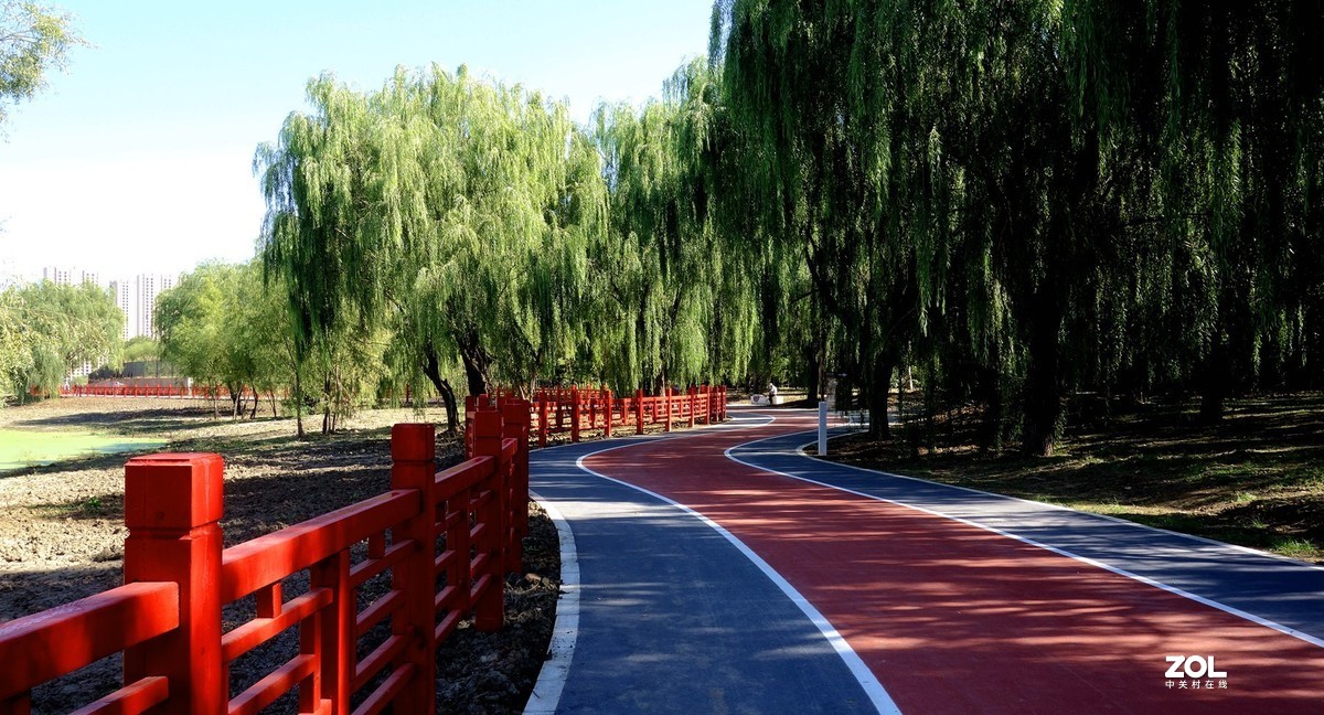 蒲河公园随拍-中关村在线摄影论坛