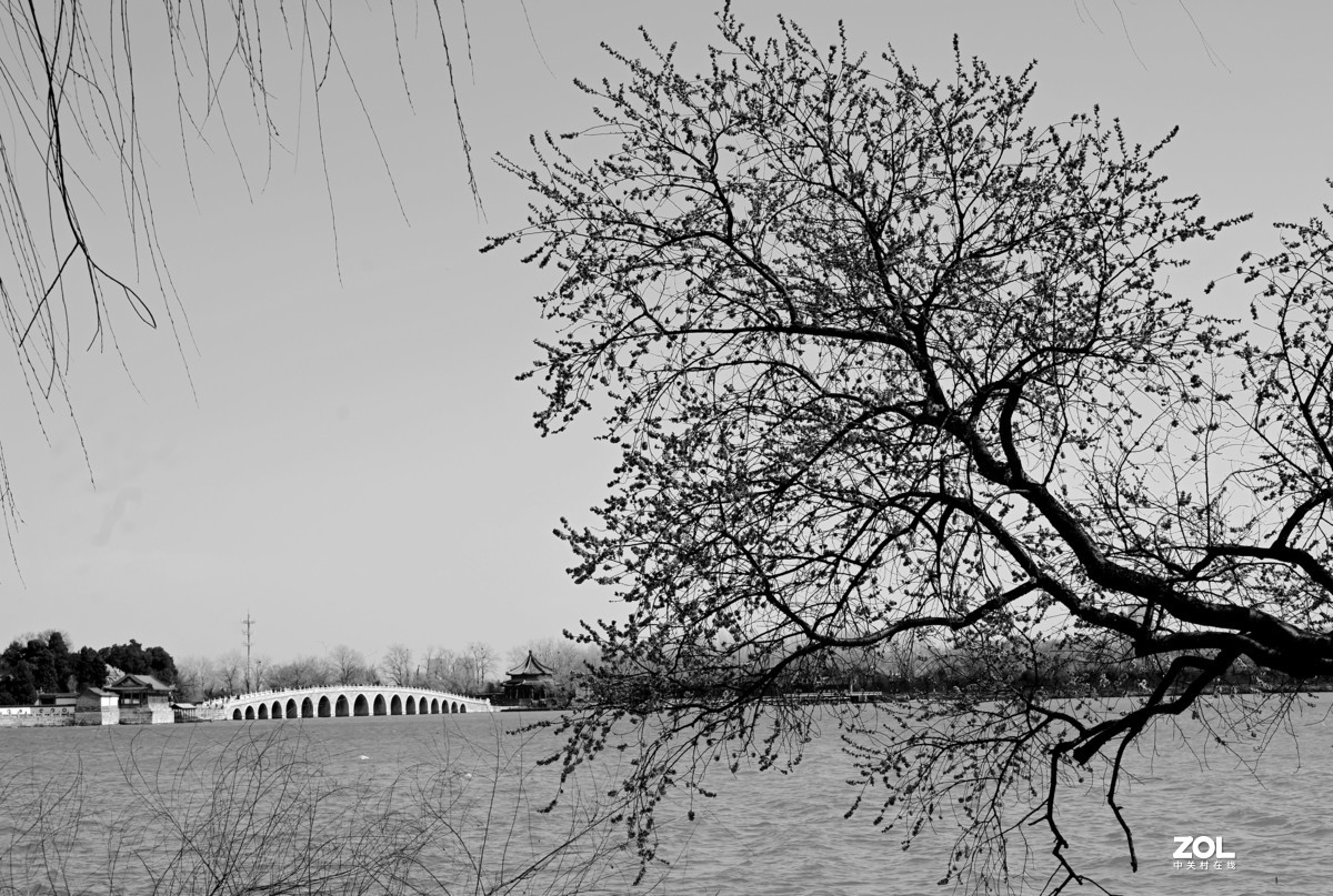 春拍颐和园〔黑白照片〕