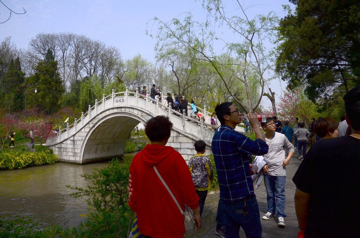 花卉风光【2799】