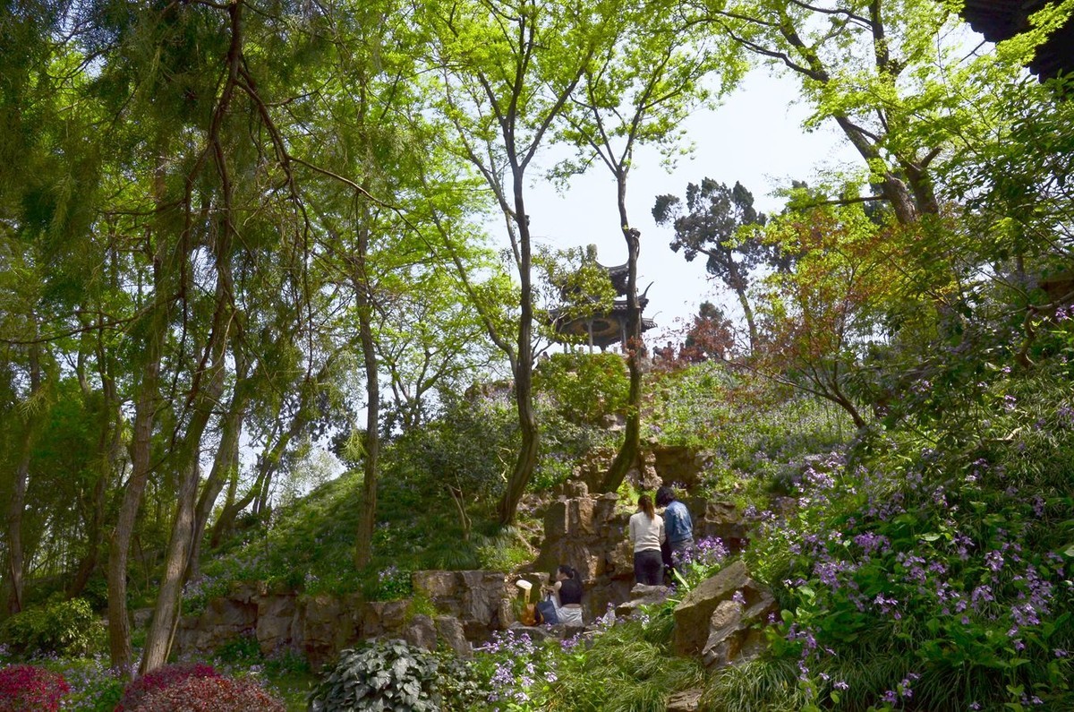 花卉风光【2799】