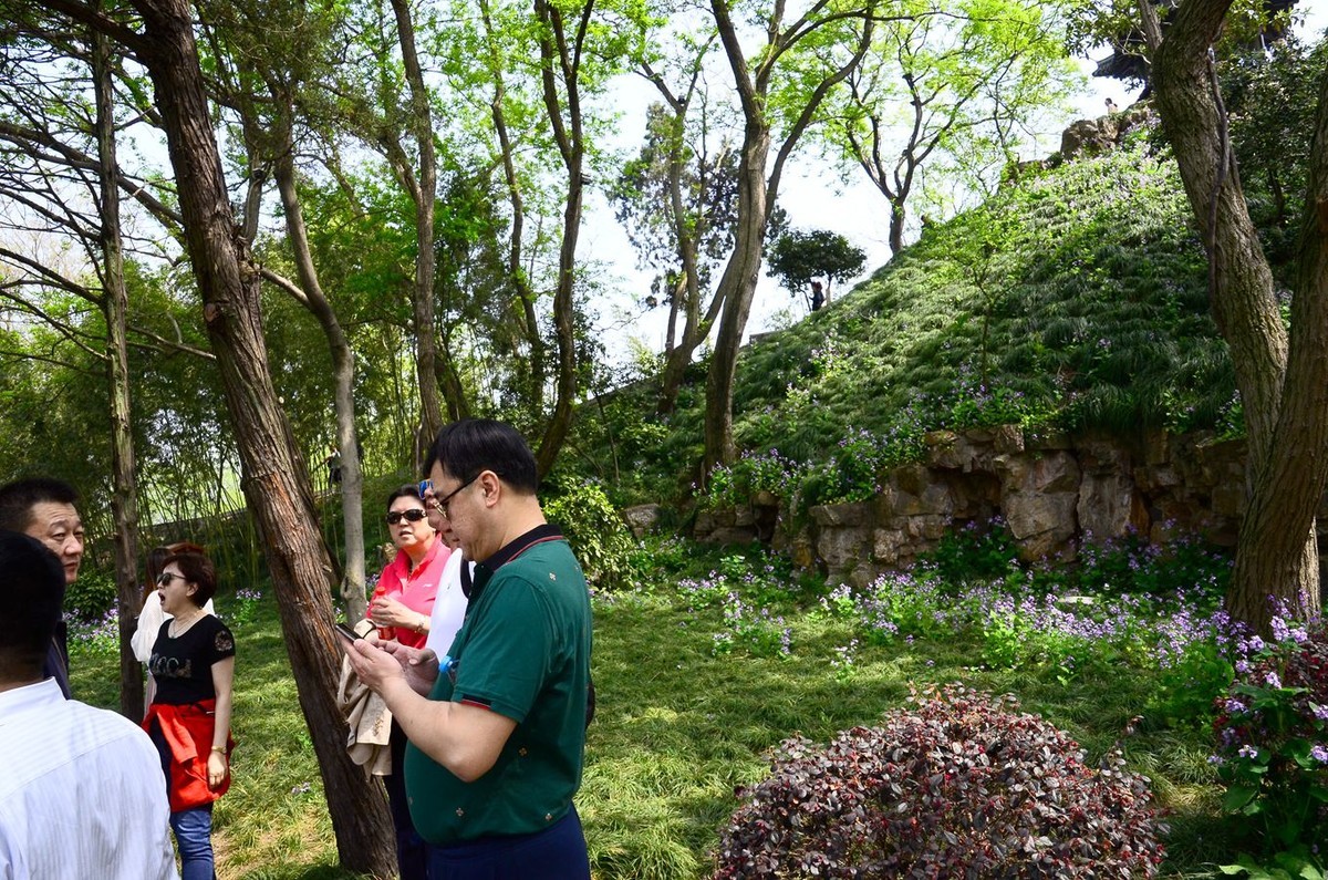 花卉风光【2799】