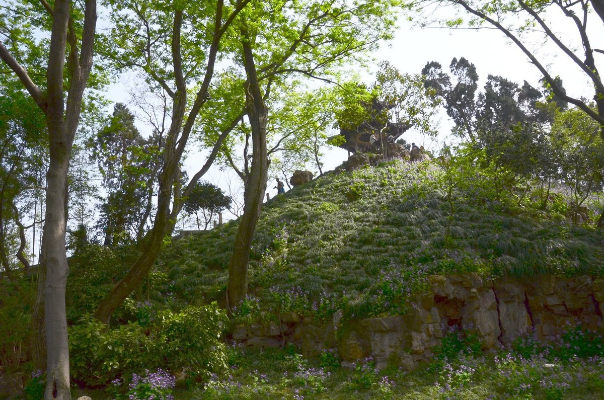 花卉风光【2799】