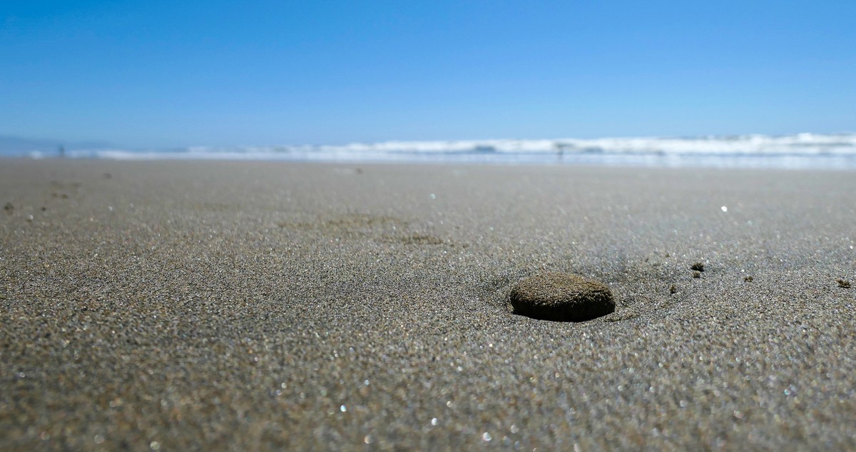 LX10的视野（不定期更新）