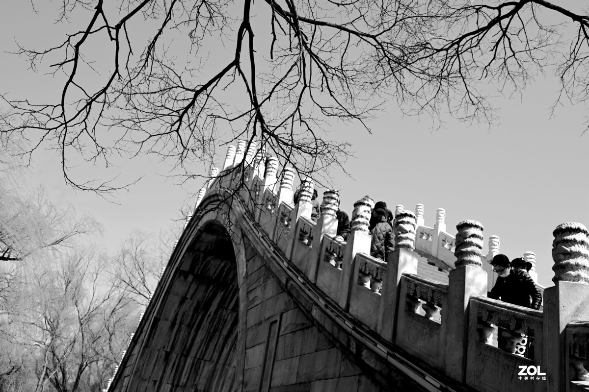 春拍颐和园〔黑白照片〕