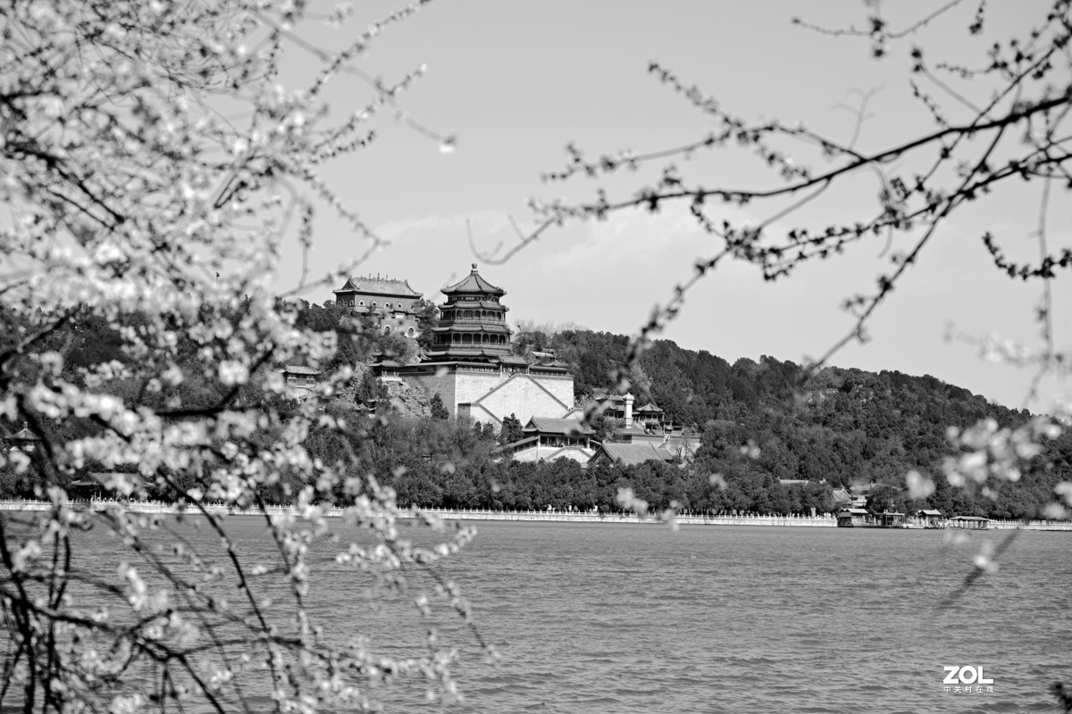 春拍颐和园〔黑白照片〕