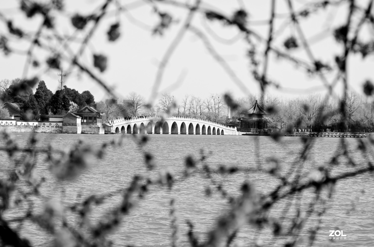 春拍颐和园〔黑白照片〕