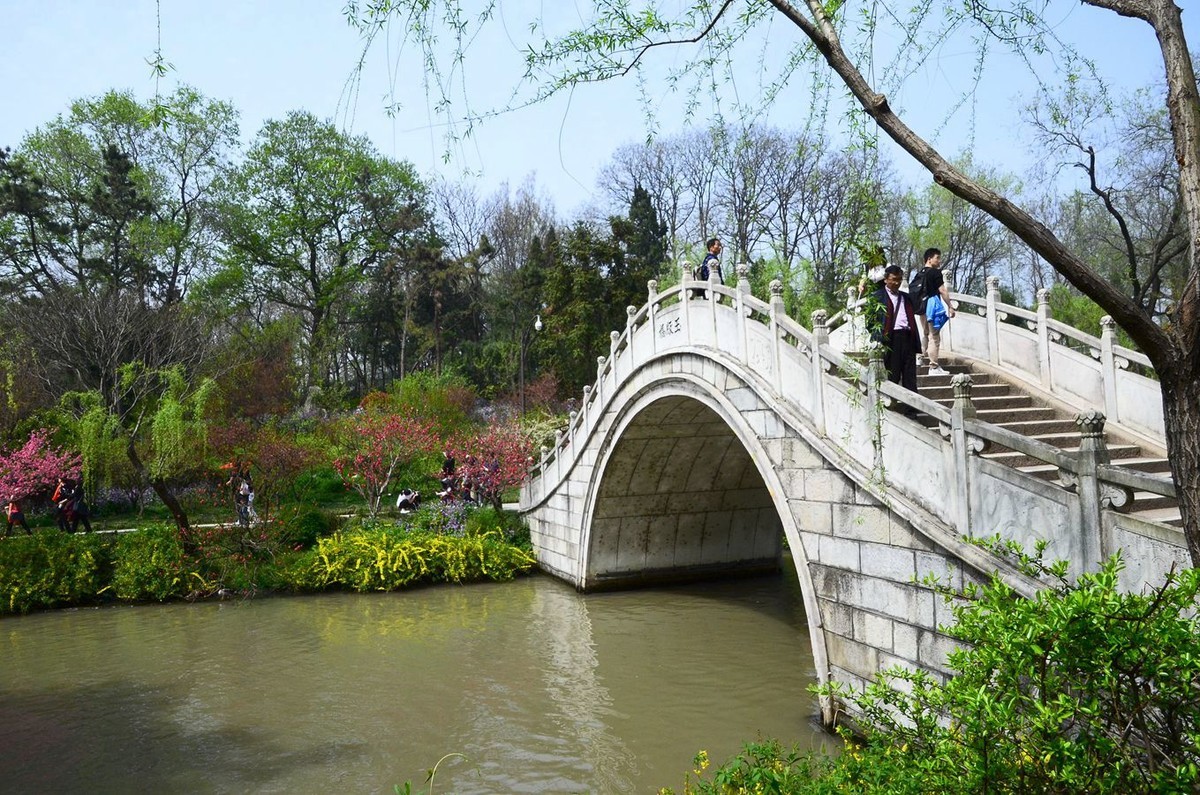 花卉风光【2799】