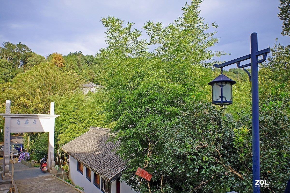 龙井村的随拍