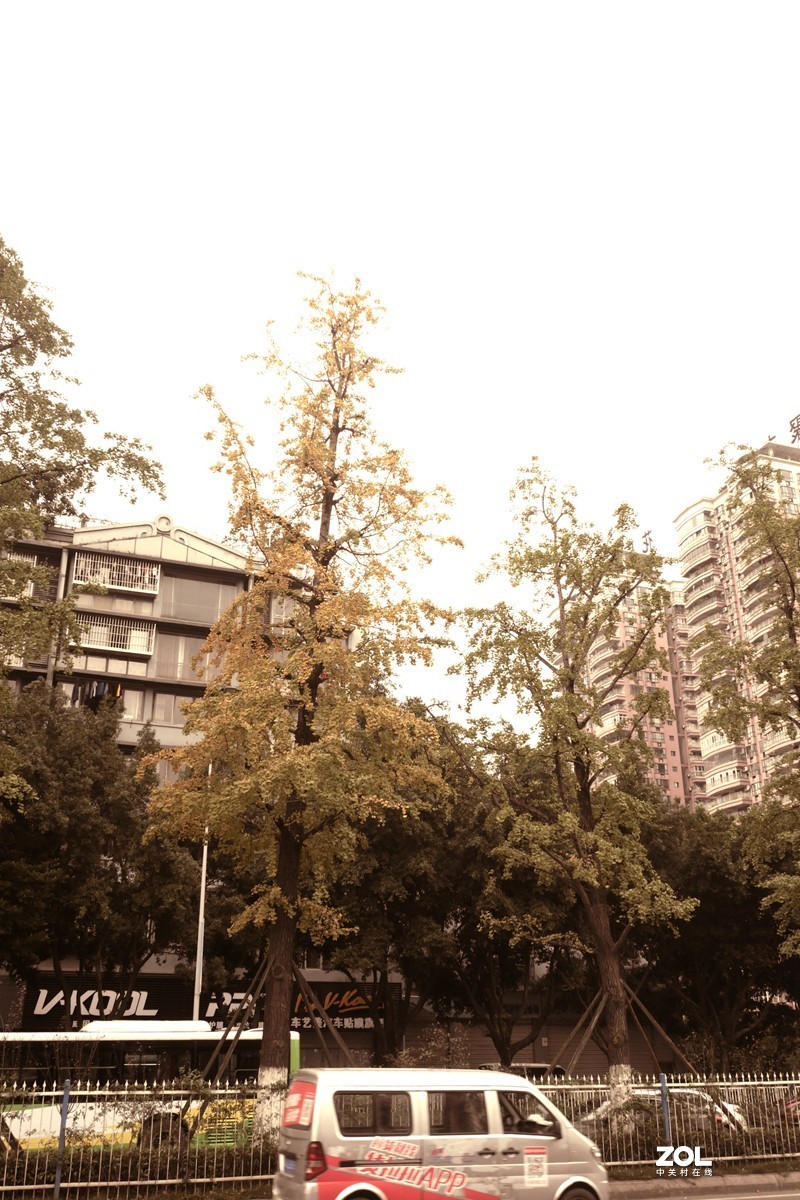 DC-G100套机扫街  怀旧滤镜