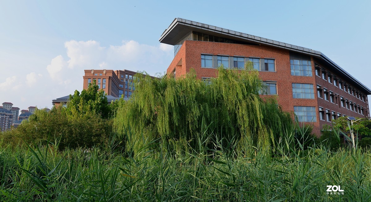 24MM F1.4  镜头随拍