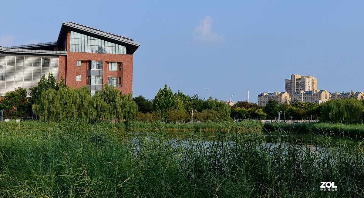 24MM F1.4  镜头随拍