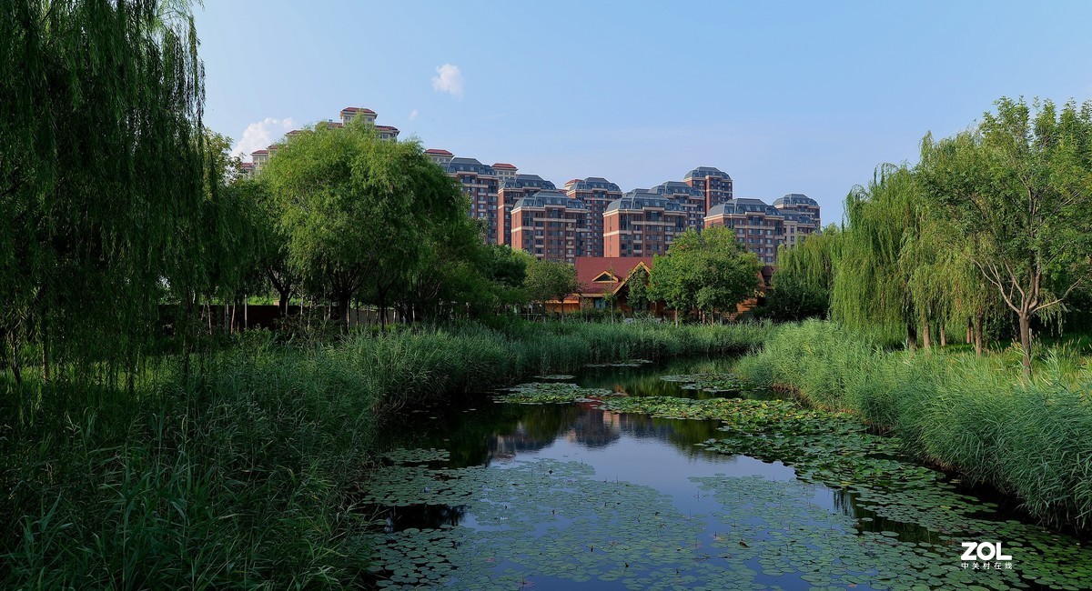 24MM F1.4  镜头随拍