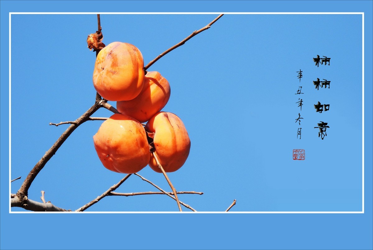事事如意的金黄柿子