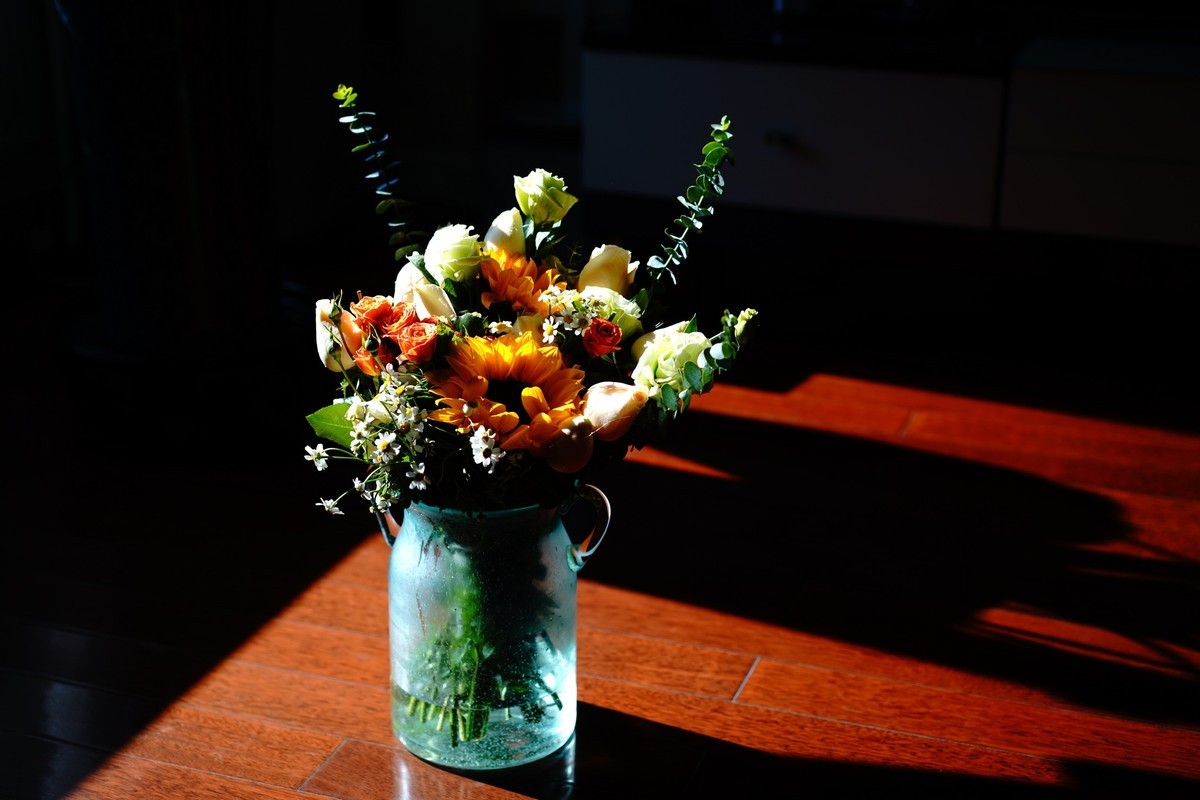 这几天正好家里买了些花,由于终会凋谢,所以拍些照留在网上,也算是不枉它们来过一回