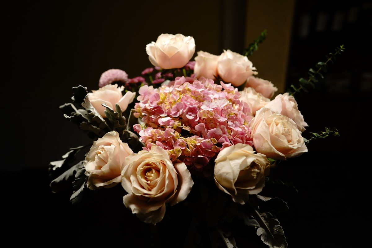 这几天正好家里买了些花,由于终会凋谢,所以拍些照留在网上,也算是不枉它们来过一回