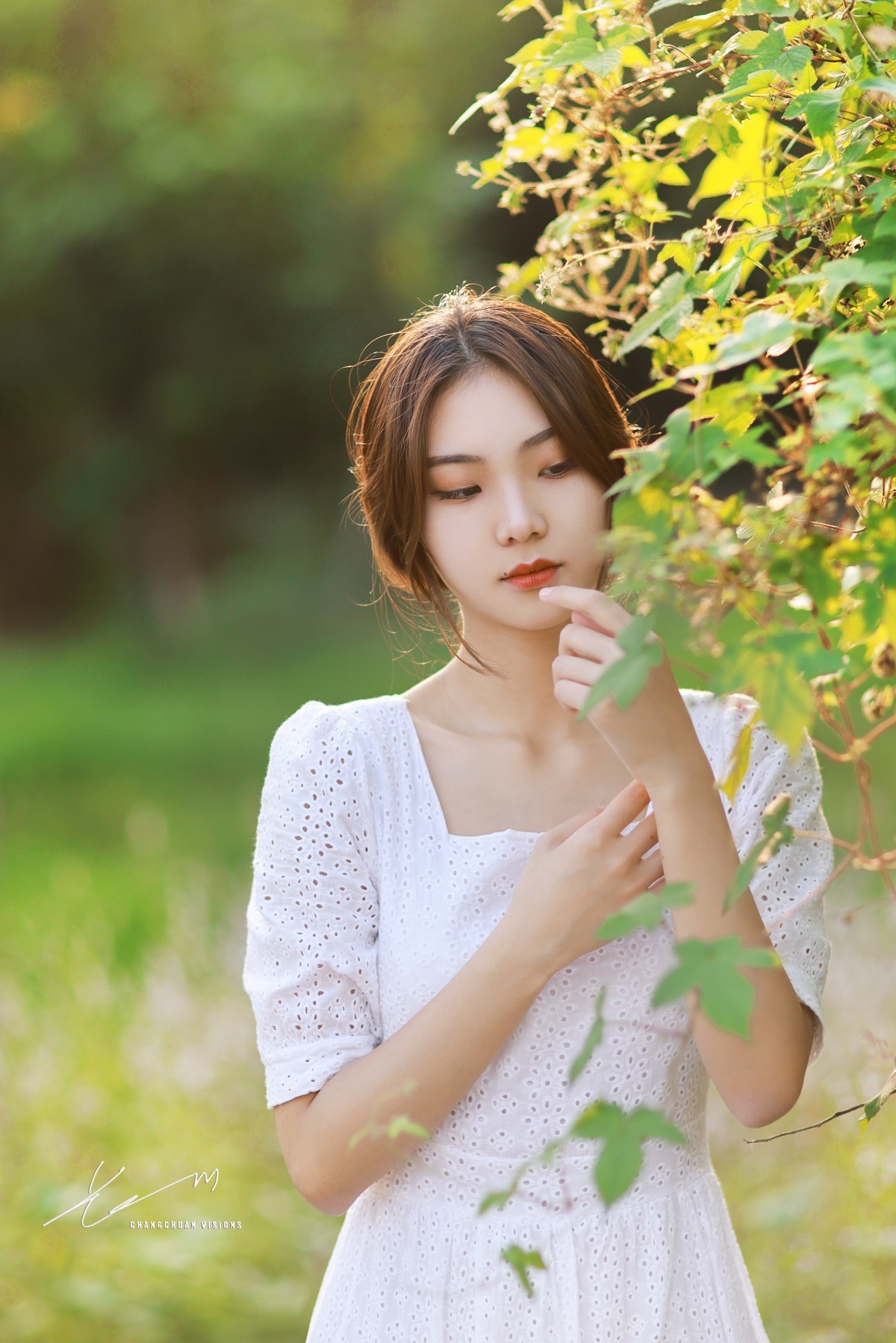 【长川映像】——安静的秋