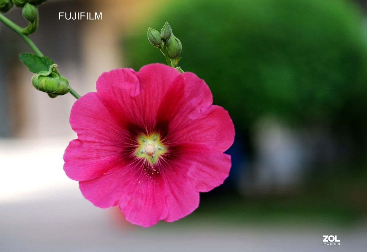 呼市避暑······窗外景观