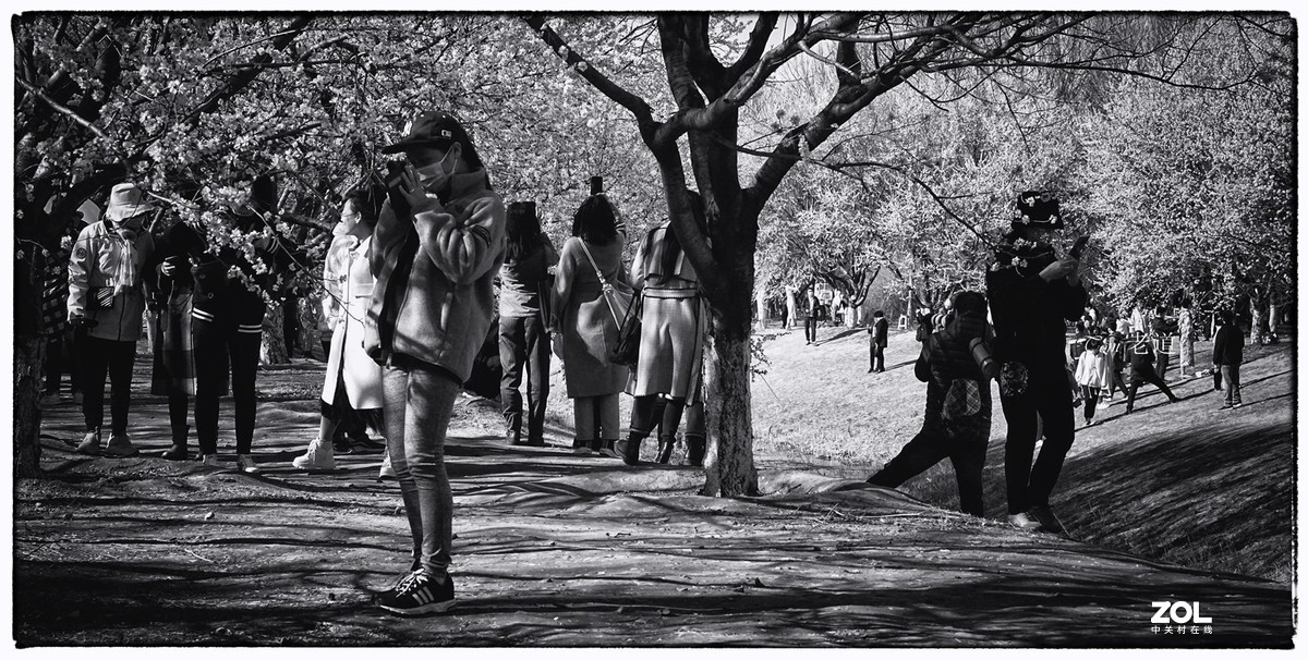 又见人头攒动时（第二版）