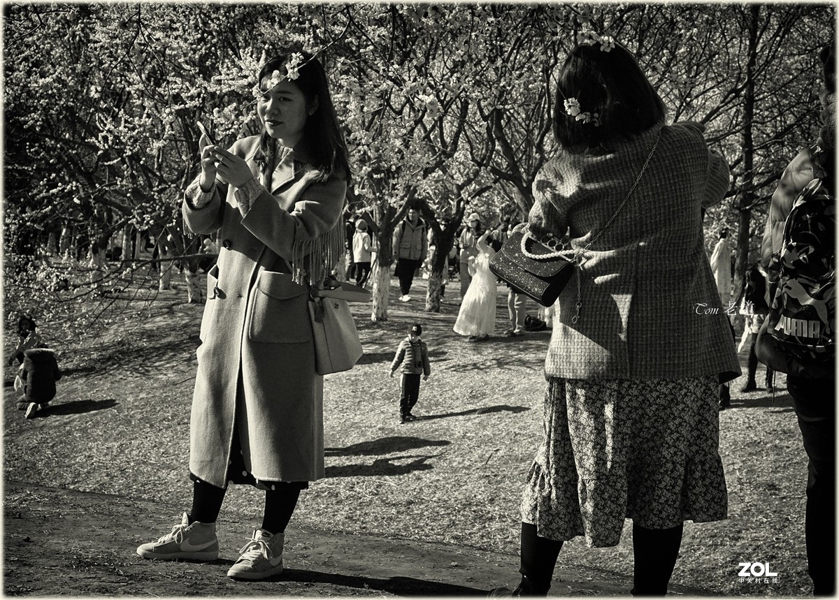 又见人头攒动时（第二版）