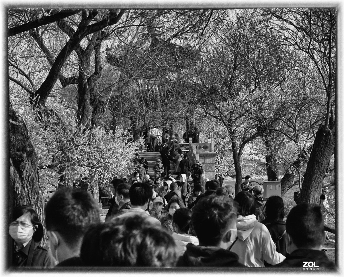 又见人头攒动时（第二版）