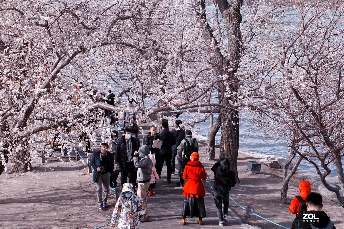 又见人头攒动时（第二版）