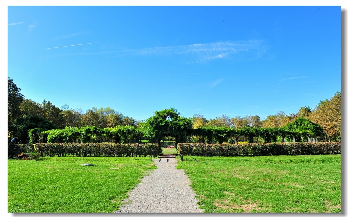 弗莱堡市政厅及花园