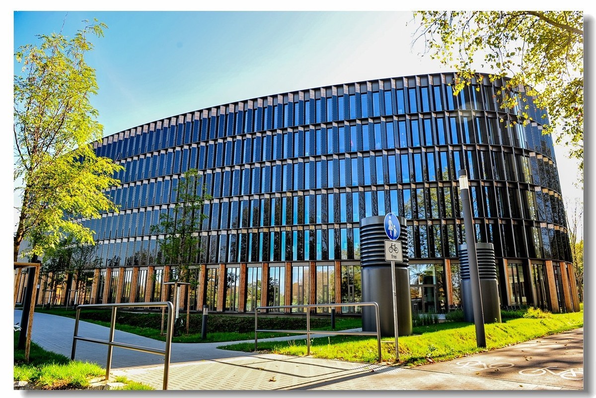 弗莱堡市政厅及花园