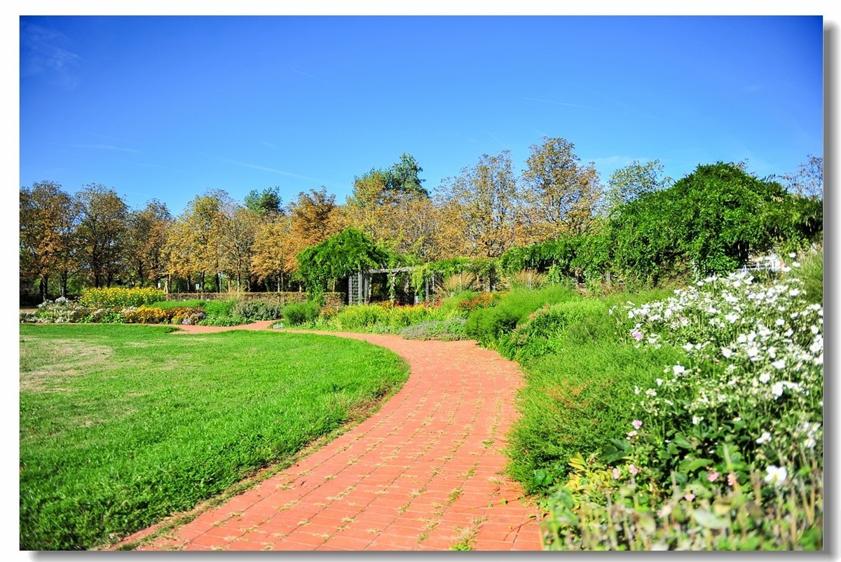 弗莱堡市政厅及花园