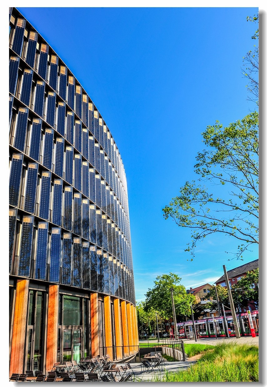 弗莱堡市政厅及花园