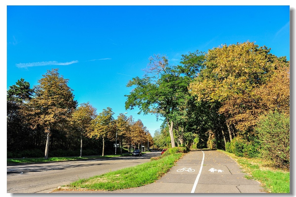 弗莱堡市政厅及花园