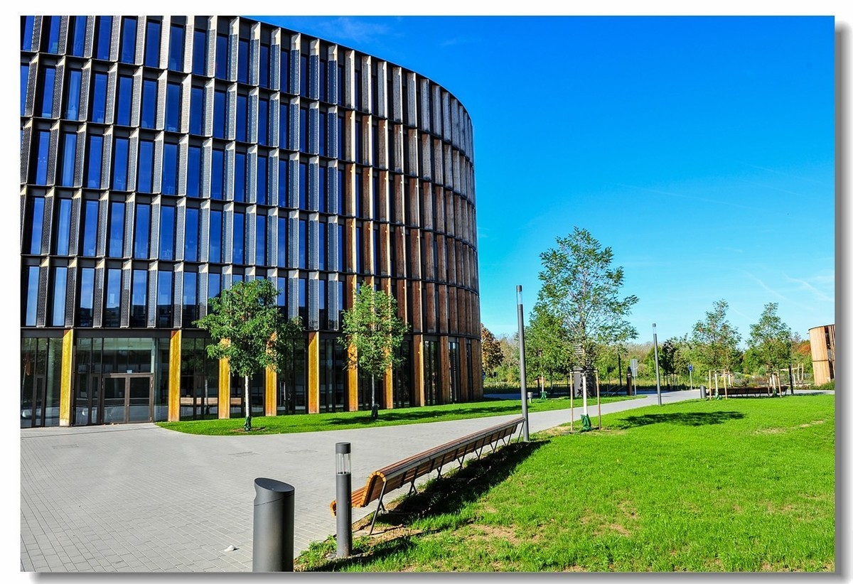 弗莱堡市政厅及花园