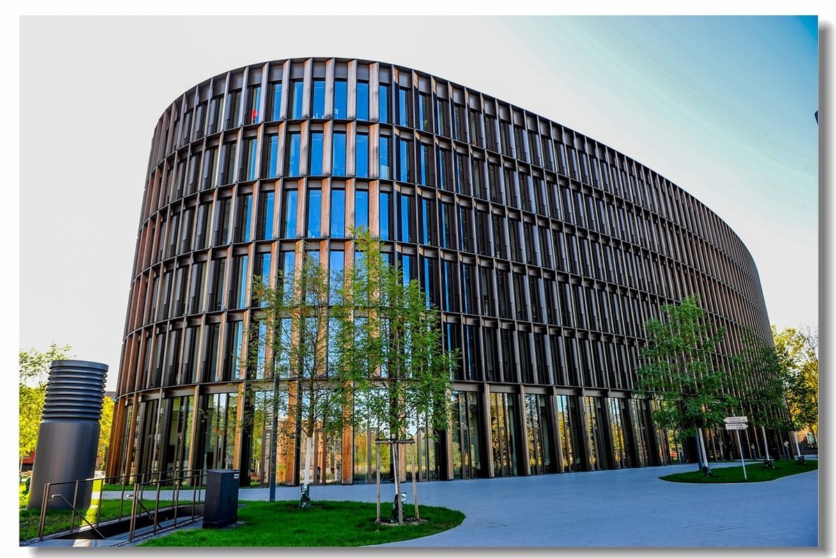 弗莱堡市政厅及花园