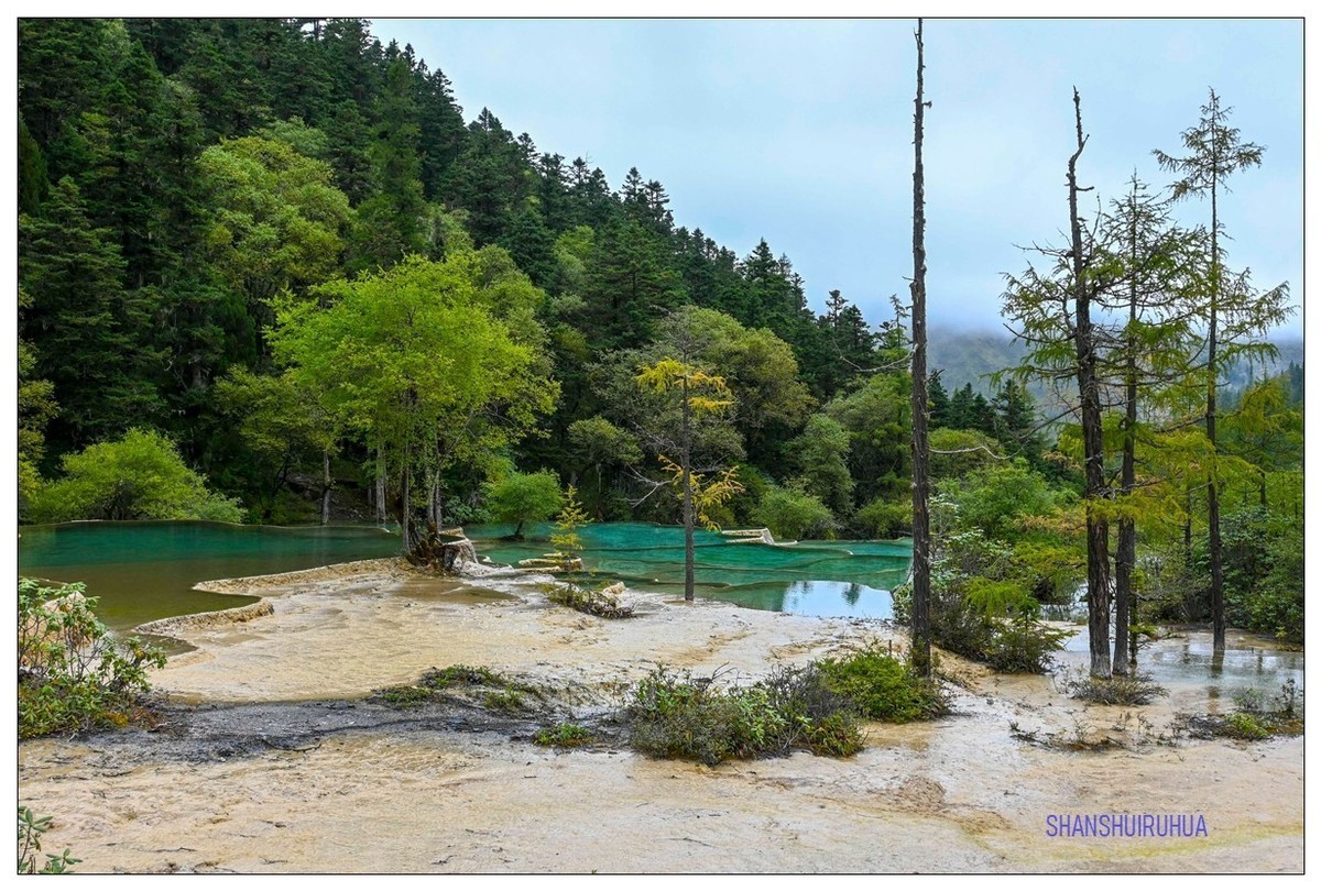 尼康Z50 九寨沟、黄龙去旅行 （之. 黄龙景区）