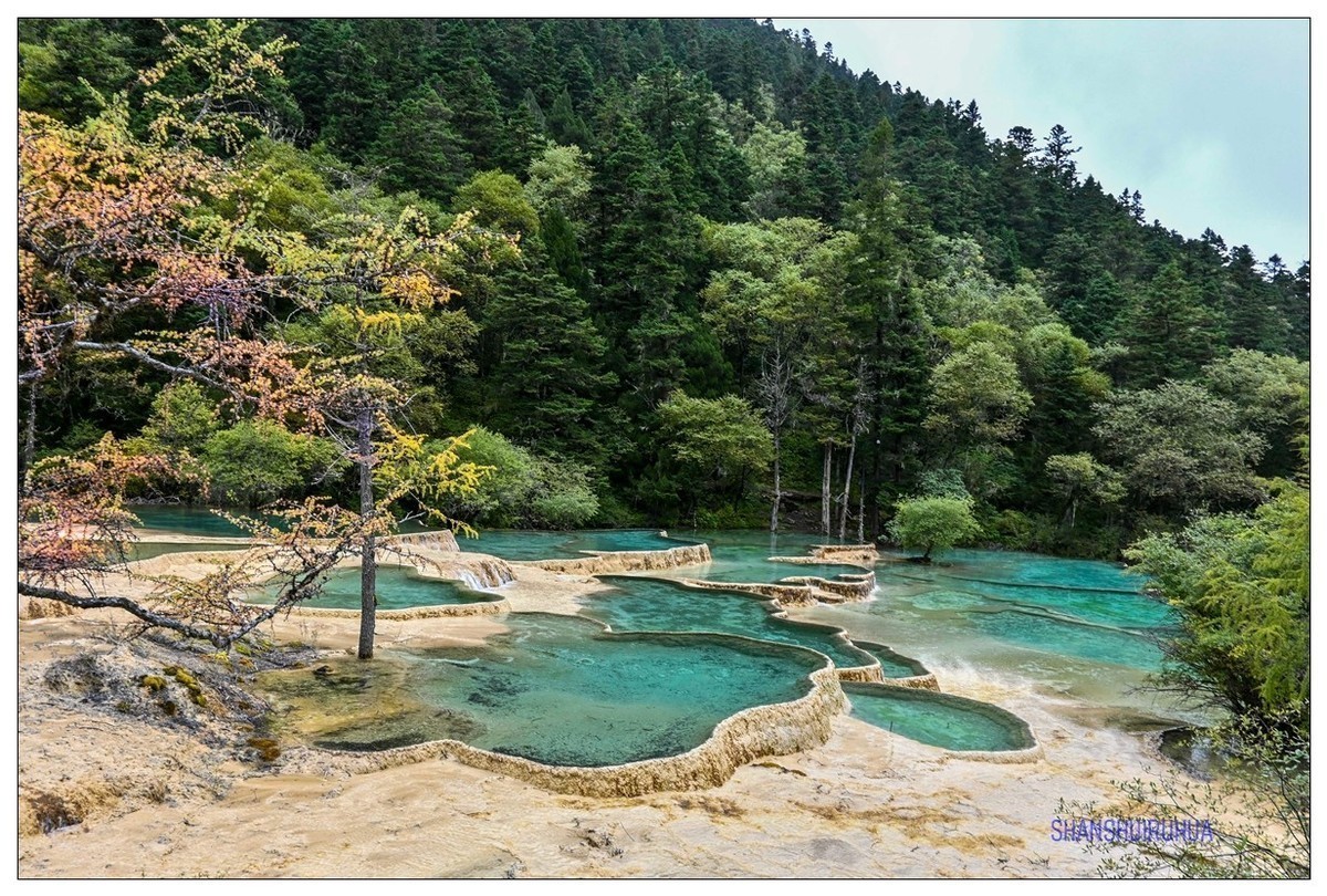 尼康Z50 九寨沟、黄龙去旅行 （之. 黄龙景区）