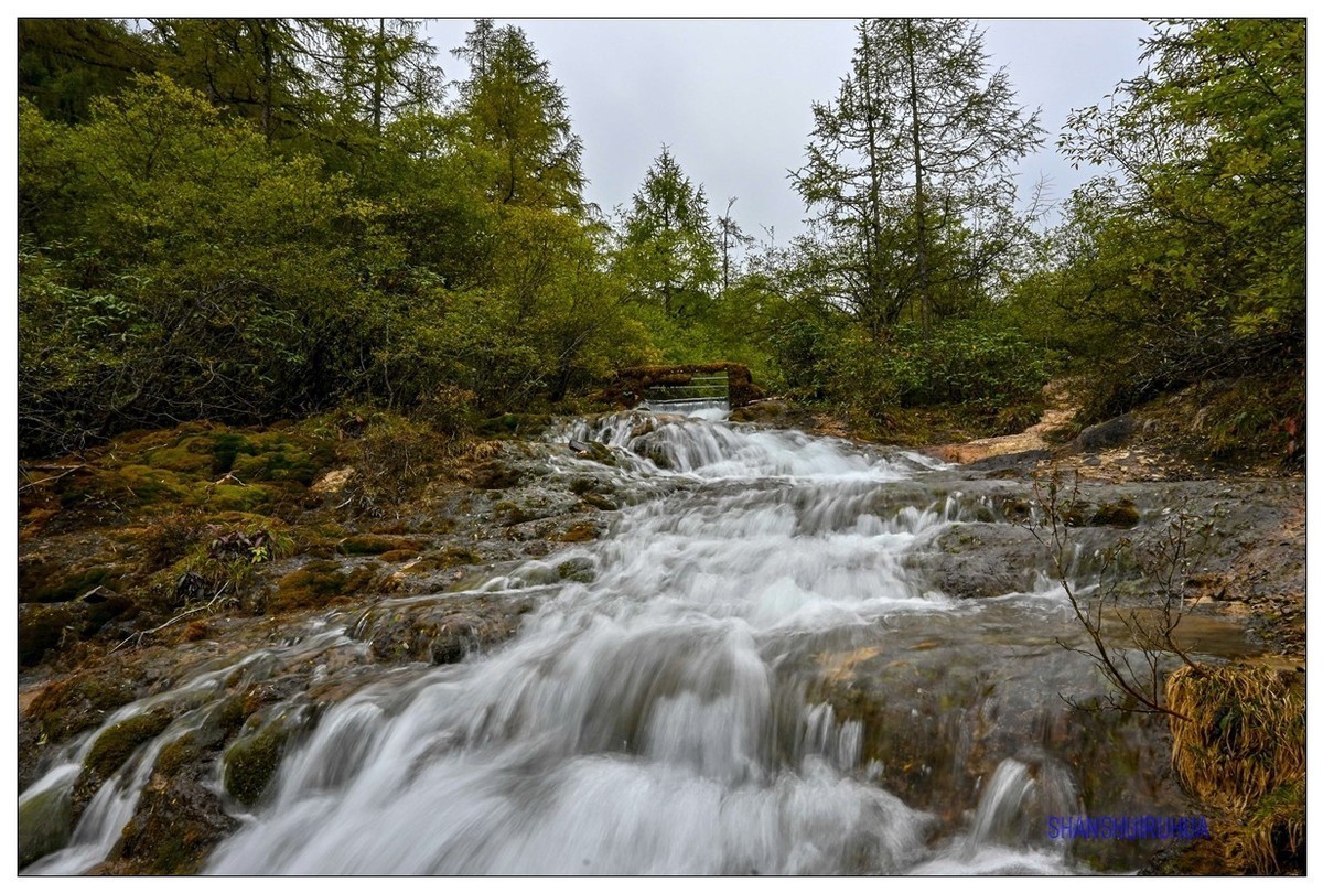 尼康Z50 九寨沟、黄龙去旅行 （之. 黄龙景区）
