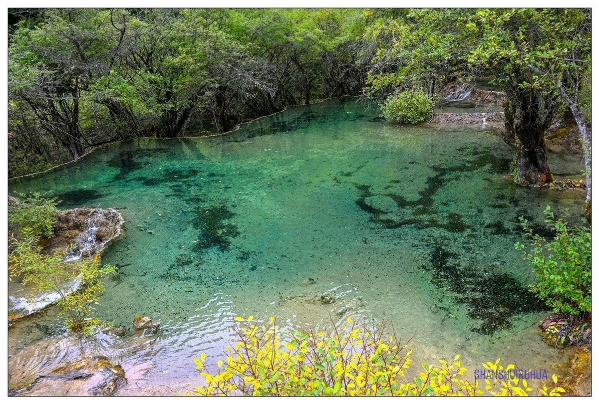 尼康Z50 九寨沟、黄龙去旅行 （之. 黄龙景区）