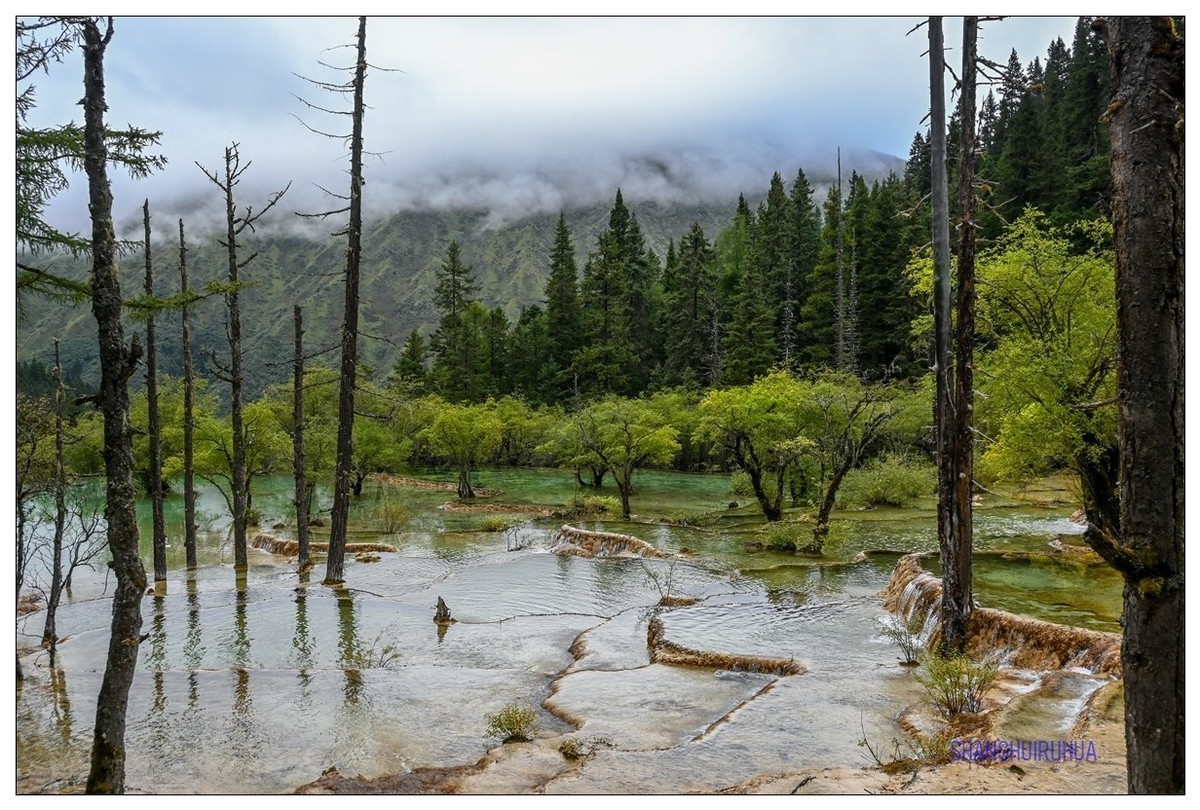尼康Z50 九寨沟、黄龙去旅行 （之. 黄龙景区）