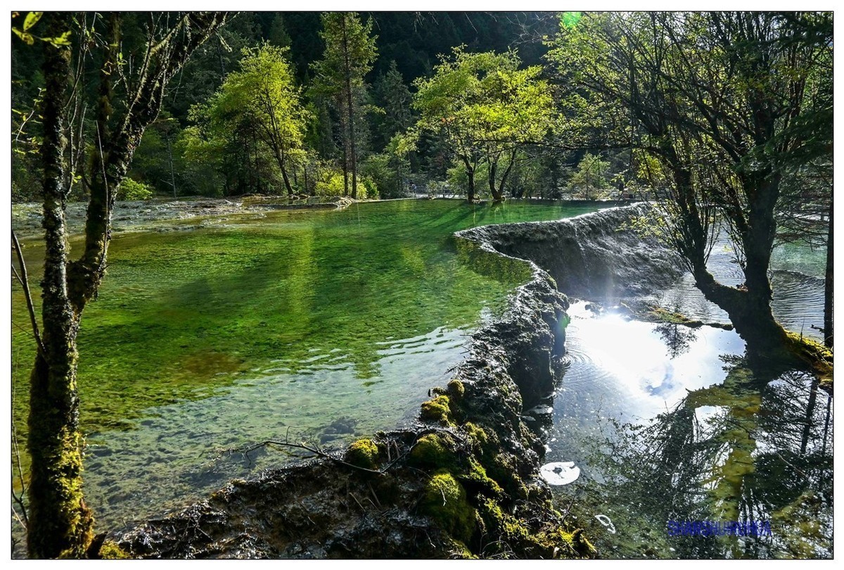 尼康Z50 九寨沟、黄龙去旅行 （之. 黄龙景区）