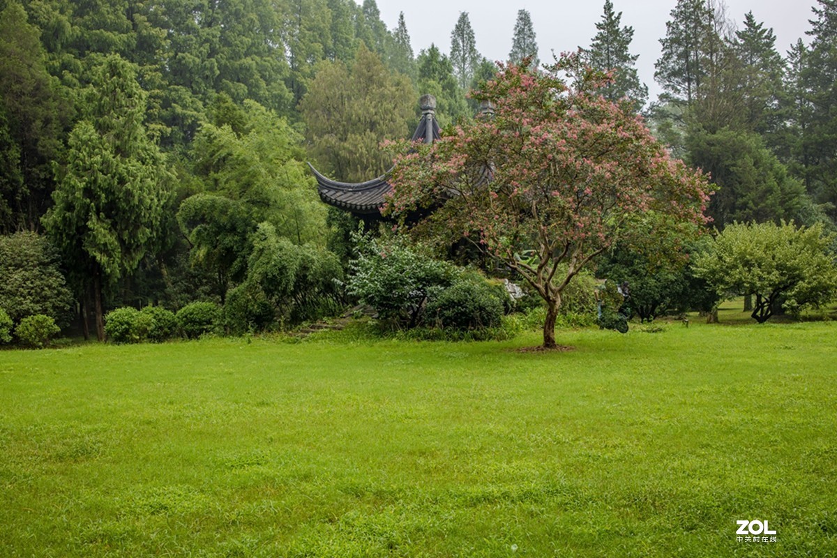 中山植物园散步