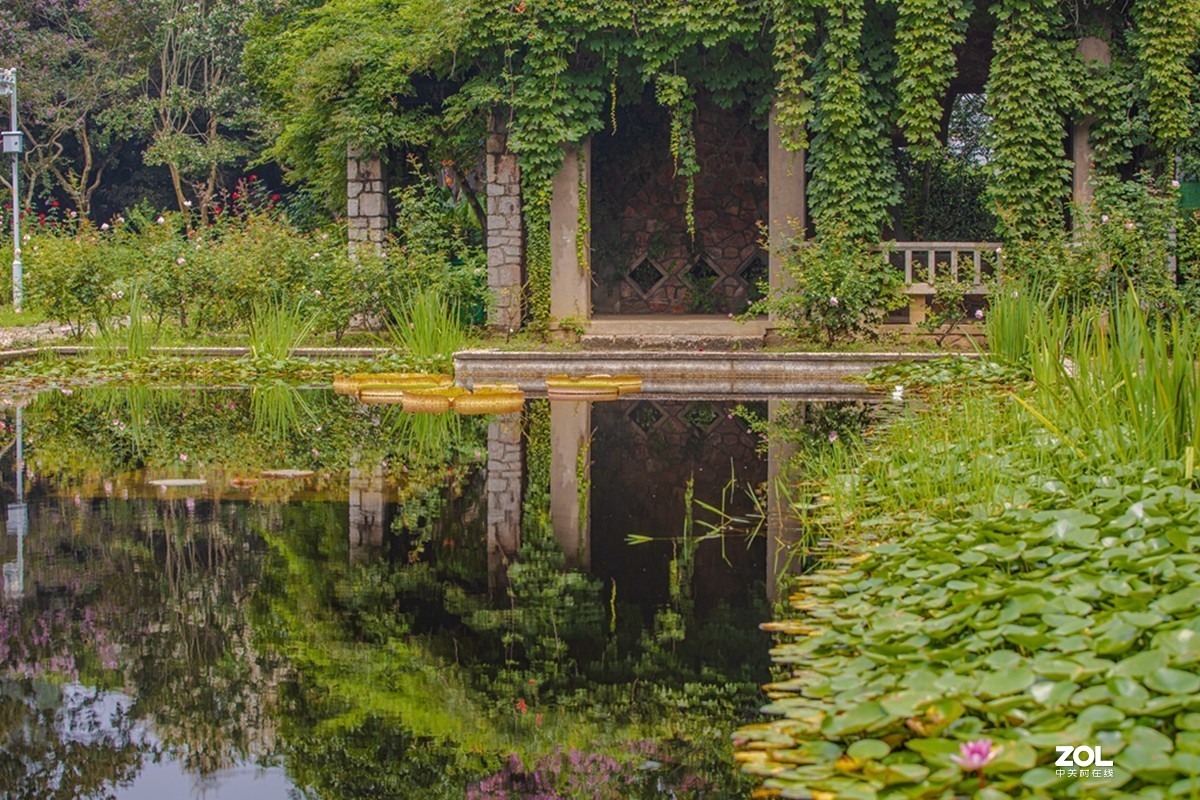 中山植物园散步