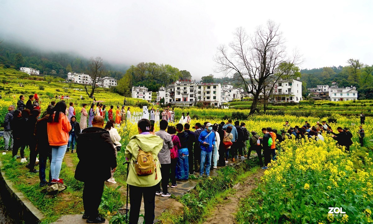 婺源江岭油菜花文旅节-中关村在线摄影论坛