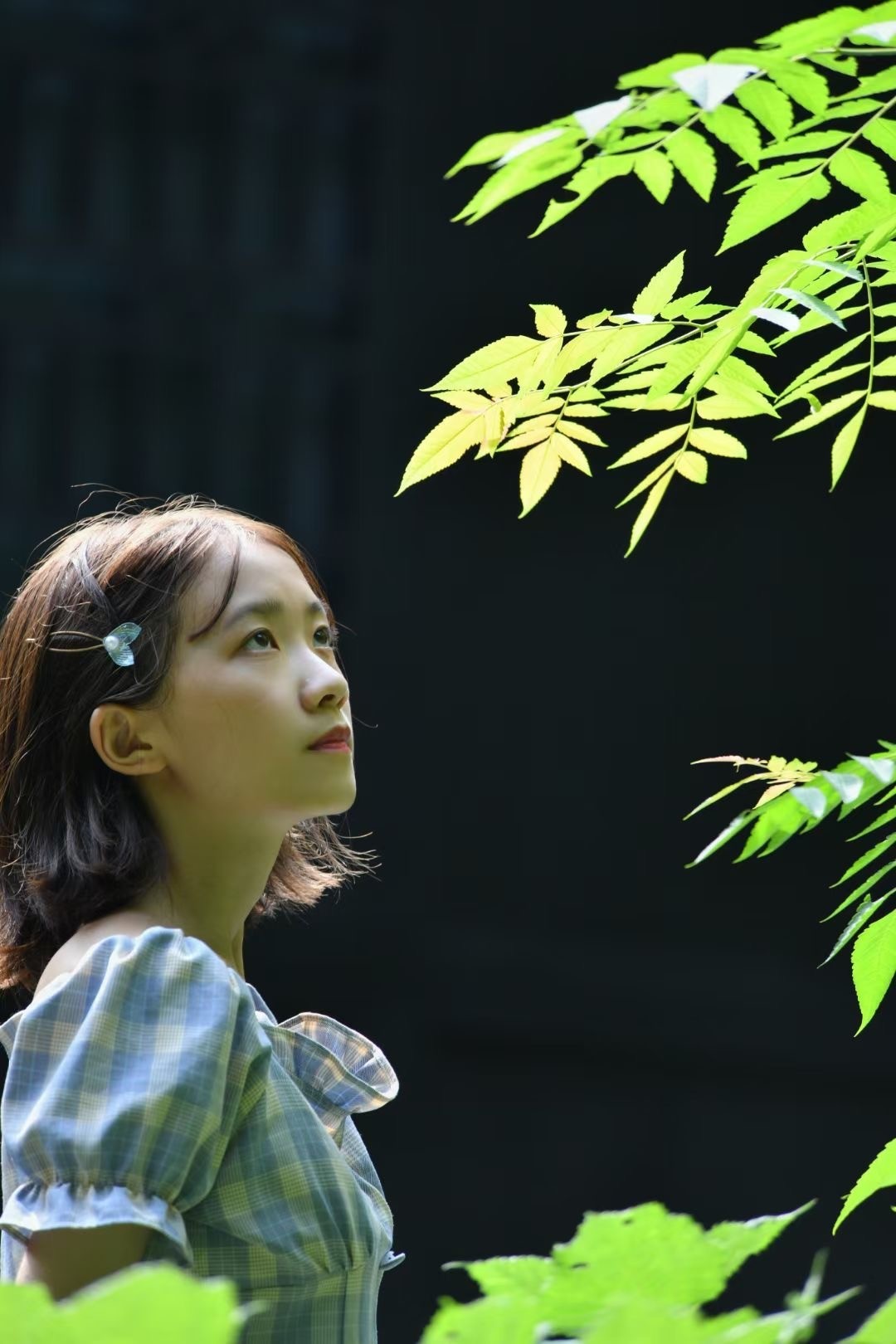 吸取大自然空气