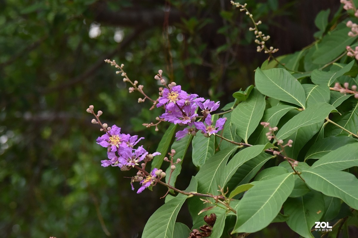 行摄三亚市街景（2）