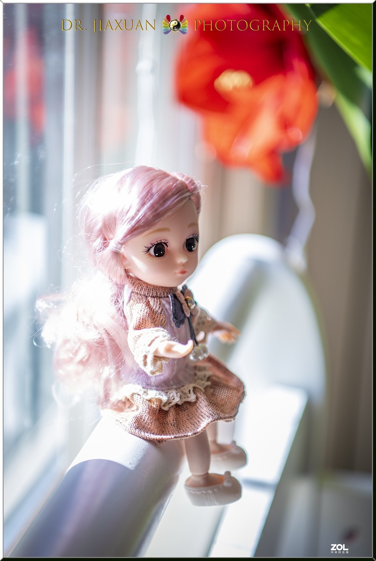 【稼轩摄影】玩偶之家-之四！