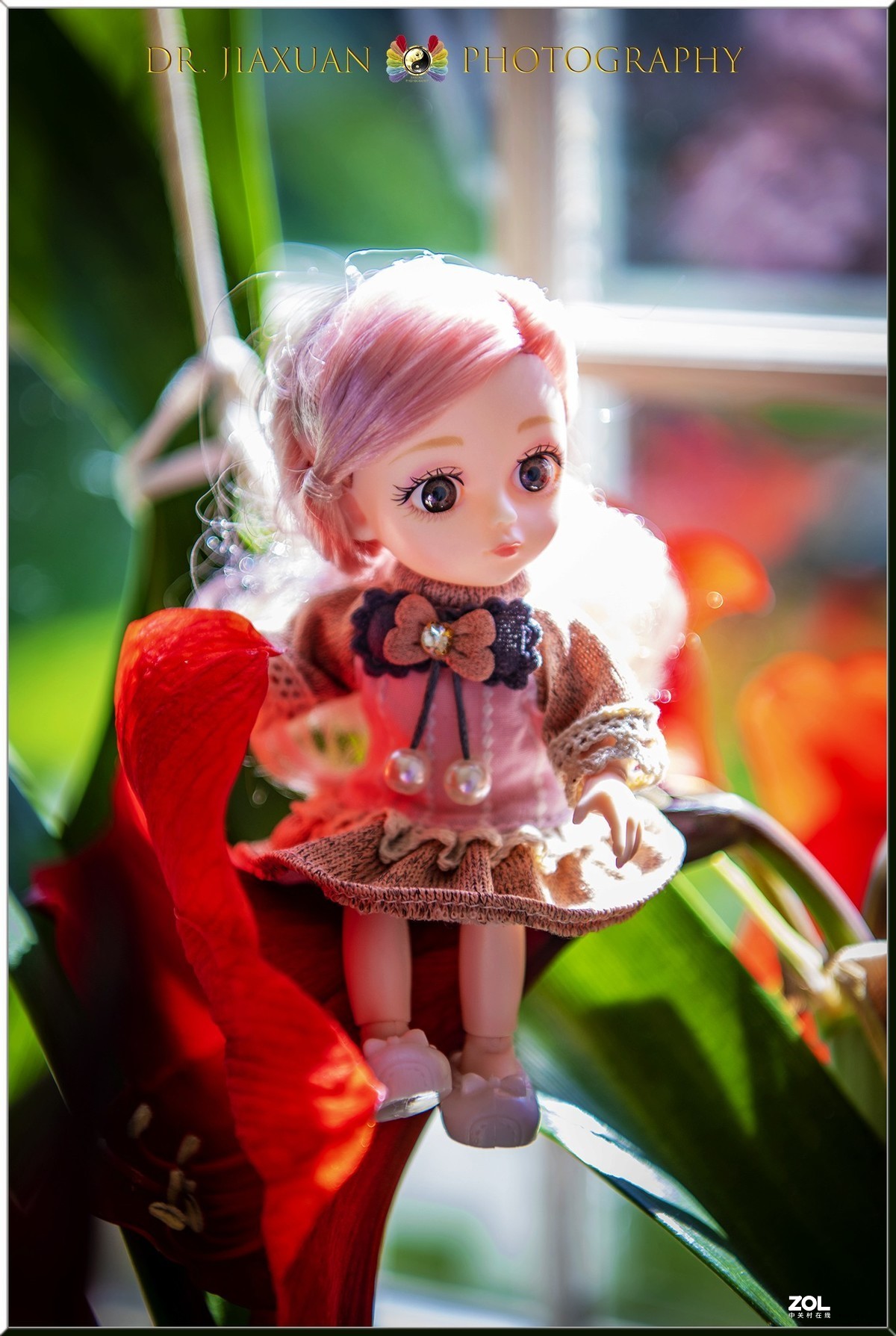 【稼轩摄影】玩偶之家-之四！